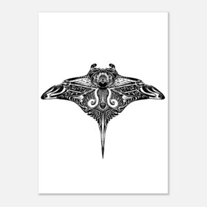 Manta Ray – Totem animal