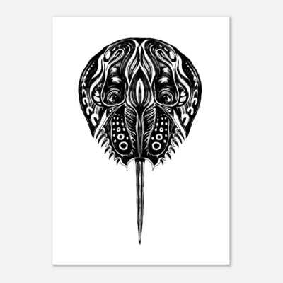 Horse Shoe Crab - Totem Animal